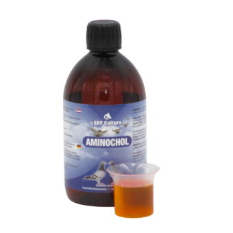 Aminochol
