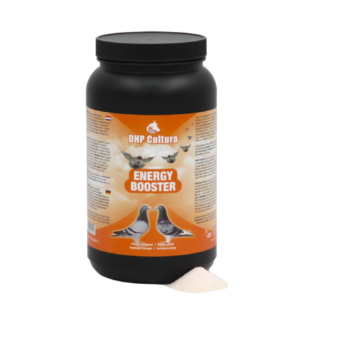 Energie Booster