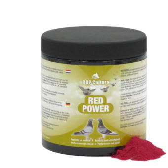 Red Power