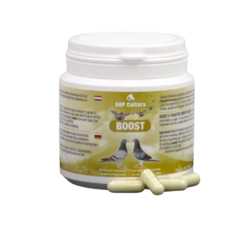 Boost Capsules