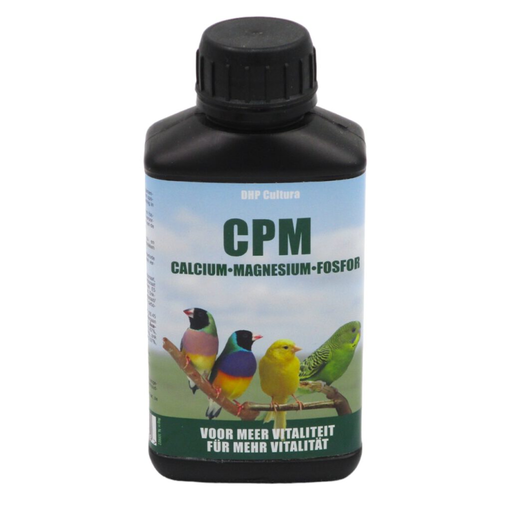 CPM | DHP Cultura